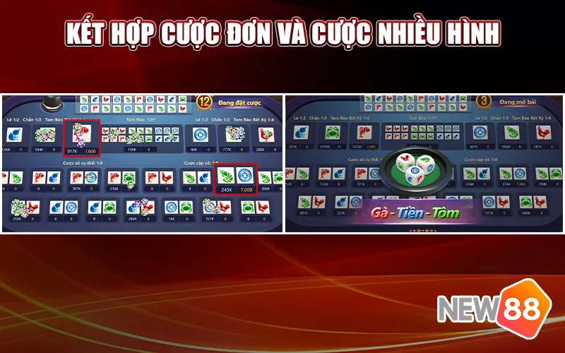 Kết hợp cược đơn và cược nhiều hình