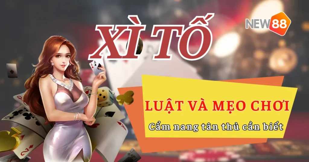 Luật chơi và mẹo chơi Xì Tố tại New88 – Cẩm nang tân thủ cần biết