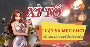 Luật chơi và mẹo chơi Xì Tố tại New88 – Cẩm nang tân thủ cần biết