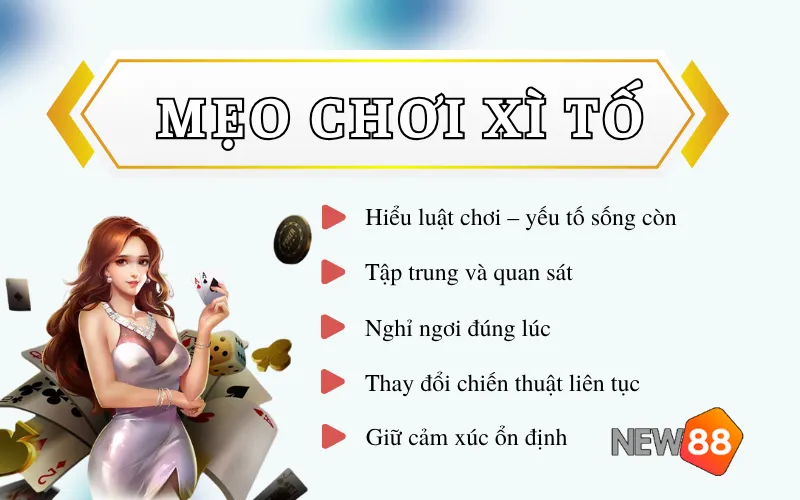 meo choi xi to